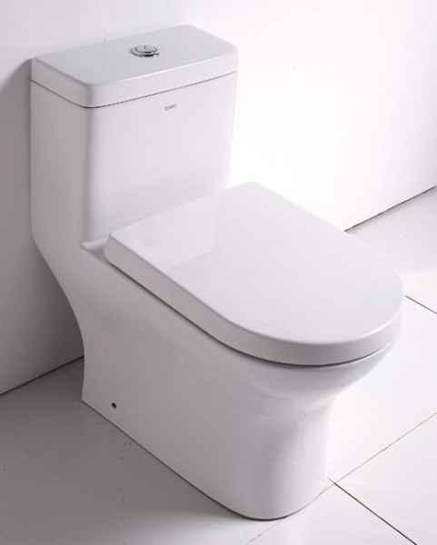 EAGO TB353 Dual Flush Eco-Friendly High Efficiency Low Flush Toilet