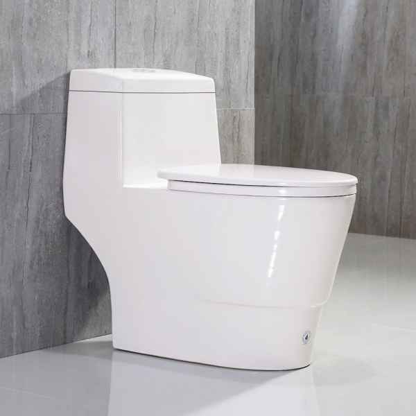 WoodbridgeBath Dual Flush Elongated One Piece Toilet with Soft Closing Seat T0001W